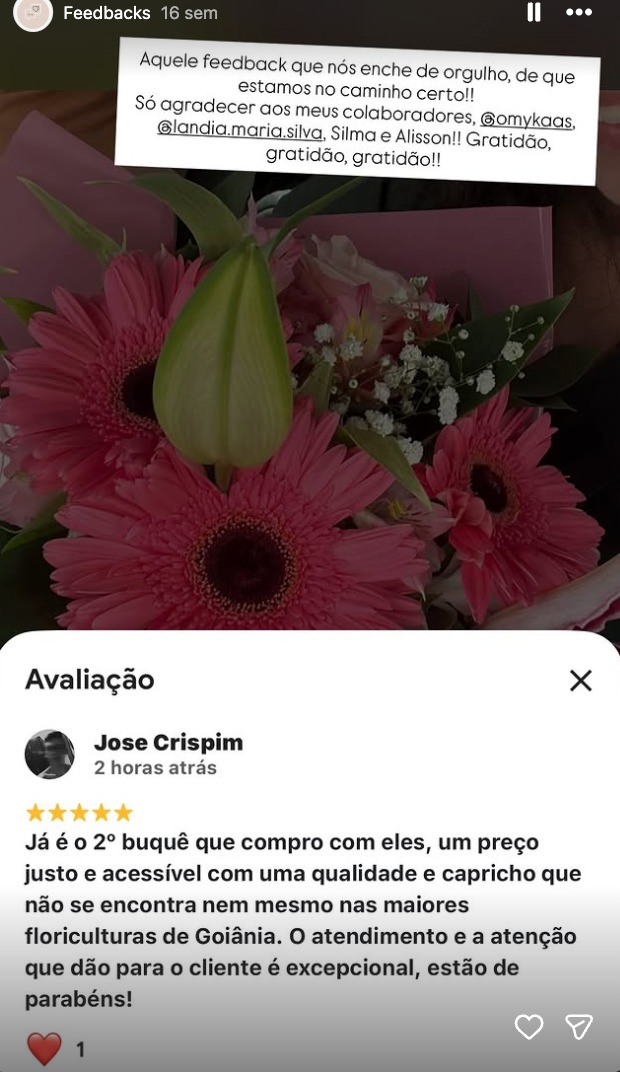 Avaliação 5 estrelas no Google de Jose Crispim